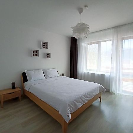 Zander Home Apartment Buşteni Buitenkant foto