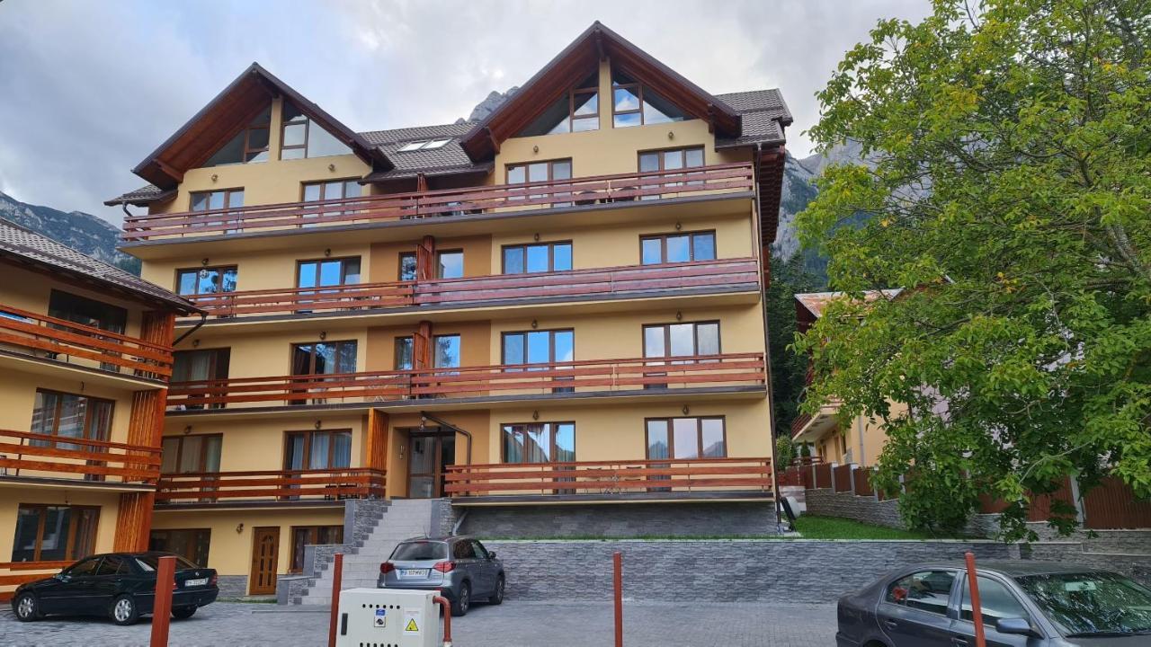 Zander Home Apartment Buşteni Buitenkant foto