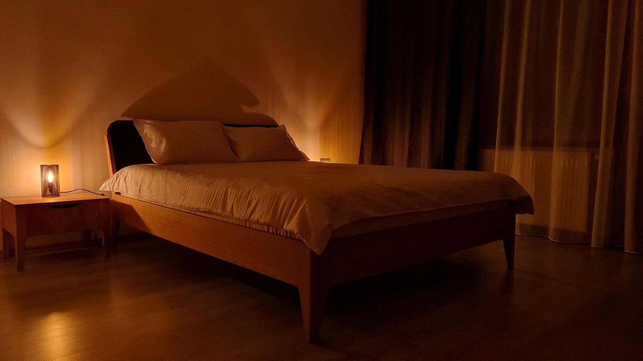 Zander Home Apartment Buşteni Buitenkant foto