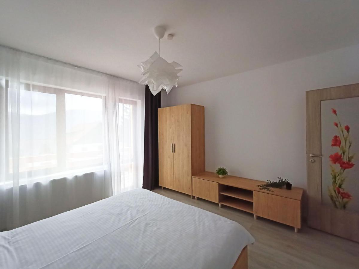 Zander Home Apartment Buşteni Buitenkant foto